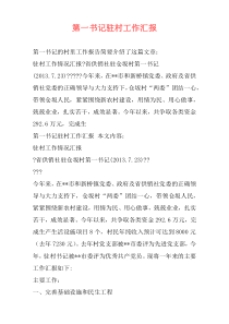 第一书记驻村工作汇报
