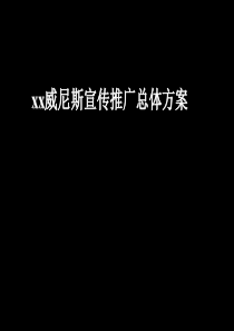 房地产策划案例象湖威尼斯宣传推广总体方案