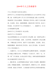 20--年个人工作承诺书