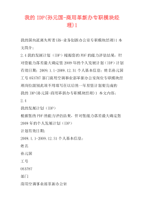 我的IDP(孙元国-商用革新办专职模块经理)1