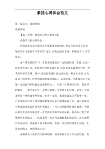 素描心得体会范文