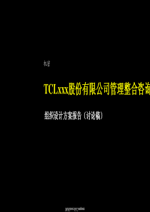 xxxx著名企业股份组织结构设计方案