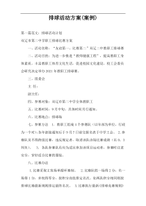 排球活动方案(案例)