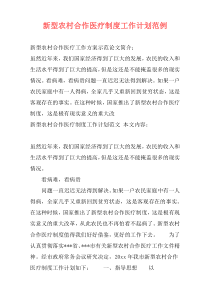 新型农村合作医疗制度工作计划范例