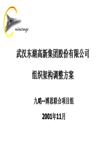XX高新集团股份有限公司组织架构调整方案