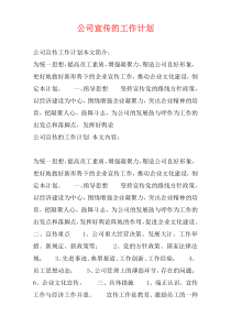 公司宣传的工作计划
