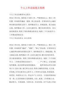 个人工作总结范文范例