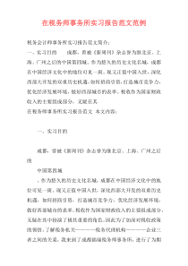 在税务师事务所实习报告范文范例