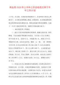 林业局2020年上半年工作总结范文和下半年工作计划