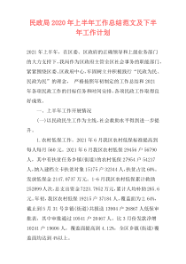 民政局2020年上半年工作总结范文及下半年工作计划