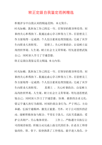 转正定级自我鉴定范例精选