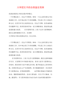 大学团支书的自我鉴定范例