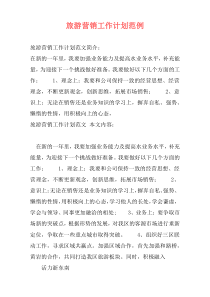 旅游营销工作计划范例
