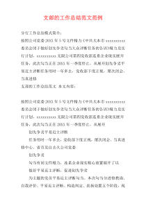 支部的工作总结范文范例