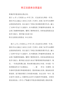 转正定级表自我鉴定