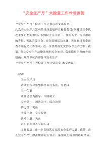 “安全生产月”大检查工作计划范例