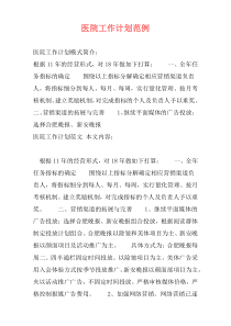 医院工作计划范例