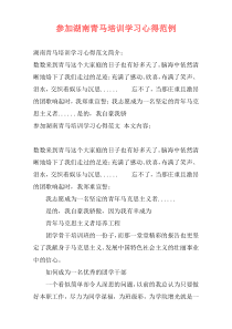 参加湖南青马培训学习心得范例
