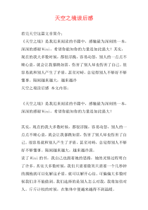 天空之境读后感