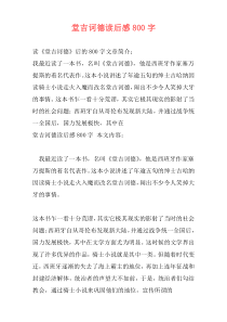 堂吉诃德读后感800字