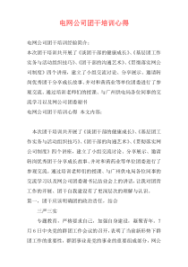 电网公司团干培训心得