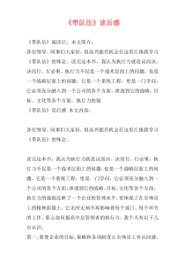 《带队伍》读后感