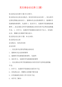 党支部会议记录(三篇)