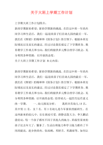 关于大班上学期工作计划