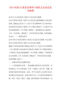 2019年度XX度党员领导干部民主生活会发言提纲