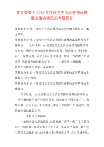 某县委关于2019年度民主生活会查摆问题整改落实情况的专题报告