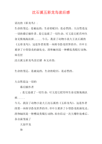 沈石溪五彩龙鸟读后感