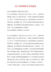 2019试用期转正自我鉴定