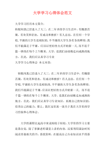 大学学习心得体会范文