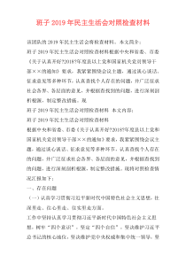 班子2019年民主生活会对照检查材料