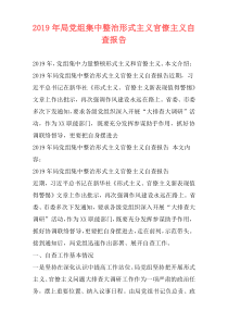 2019年局党组集中整治形式主义官僚主义自查报告