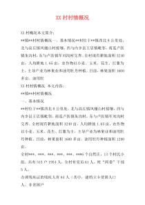 XX村村情概况