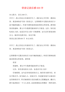 窃读记读后感600字