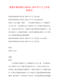 街道办事处统计站站长2009年个人工作总结范文