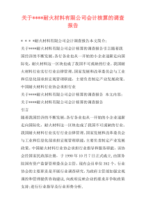 关于----耐火材料有限公司会计核算的调查报告