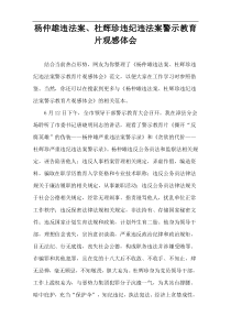 杨仲雄违法案、杜辉珍违纪违法案警示教育片观感体会