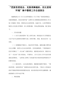 “更新思想观念、克服顽瘴痼疾、优化营商环境”集中整顿工作自查报告