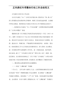 正风肃纪专项整治行动工作总结范文