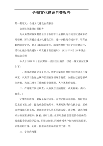 合规文化建设自查报告