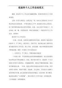 组宣科个人工作总结范文