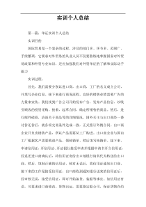 实训个人总结