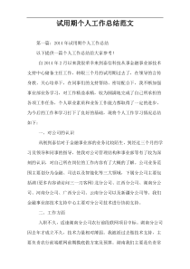 试用期个人工作总结范文