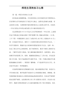 师范生顶岗实习心得