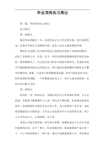 毕业顶岗实习周记