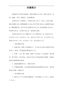 村情简介