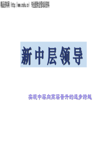 新中层领导——实现中层向高层晋升的逐步跨越(2)